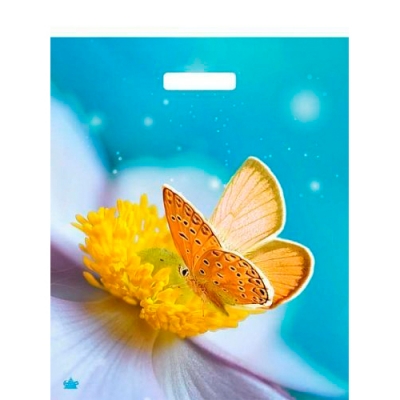 Пакет с вырубной ручкой 38х45+6см (60) (Мгновения) Глянцевый Тико (х50/500) ВУР58798