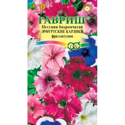 Петуния Эрфутские карлики бахр. 7 шт. гранул. пробирка "Гавриш" Петуния Эрфутские карлики бахр. 7 шт. гранул. пробирка "Гавриш"