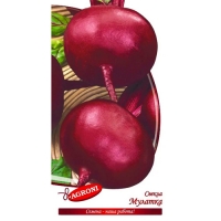 Свекла столовая Мулатка (2,0г) (ц/п 1840) Свекла столовая Мулатка (2,0г) (ц/п 1840)