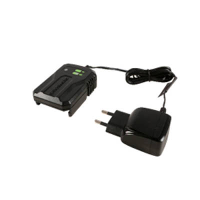 Зарядное устройство GW 40В 2A Зарядное устройство GW 40В 2A