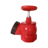 Клапан пожарный чуг Ду65 Ру16 ВР/НР 125 гр Апогей КПК 65-1
