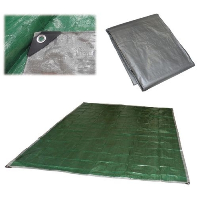 Тент хозяйственный универсальный T-5х6, размер: 5х6 м, плотность: 100г/м2 арт.999152