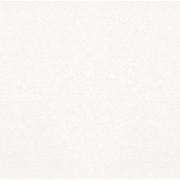Керамогранит Monocolor sugar white 01 450х450 Керамогранит Monocolor sugar white 01 450х450