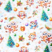 Бумага упаковочная "Совушки", глянец, двусторонняя, 80 г/м2 , 70 х 100 см арт.10549231 г.Екатеринбур Бумага упаковочная "Совушки", глянец, двусторонняя, 80 г/м2 , 70 х 100 см арт.10549231 г.Екатеринбур