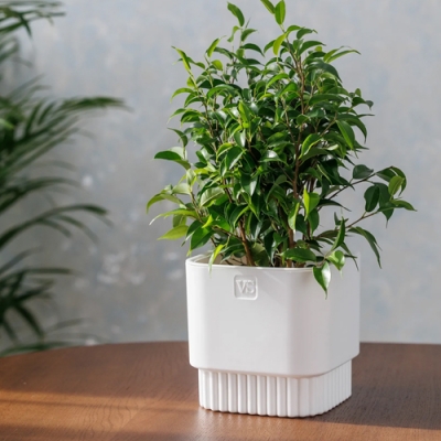 Горшок цветочный VipSet Бостон с дренажной системой квадрат 5,5л белый (AMБ-5,5-01)