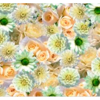 Клеенка Амарант 6924A на нетканной основе (1,37 х 20 м)