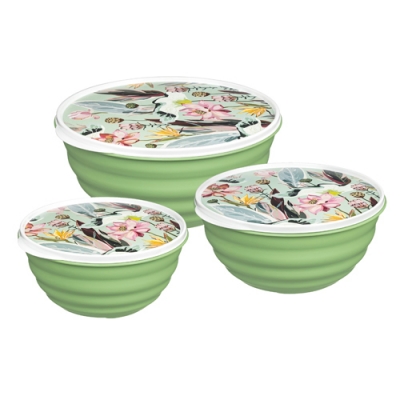 Комплект мисок Латина Homver 3 шт (1,1л+2,1л+3,2л) с крышками с декором Ботаника 1338