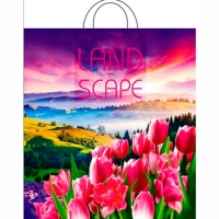 Пакет ПЭ с петлевой ручкой 38х42+6см (40) ПНД (Просторы) Интерпак (х25/500) 2200003764468 ПТЛ47681