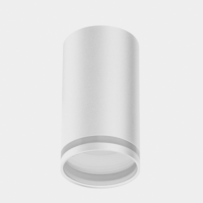 Светильник накладной Sweko SPOT-GU10-D55H100-WH-С2