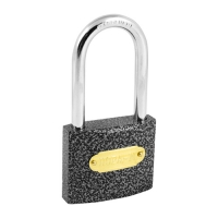 Замок навесной ЗН-800дд-60 мм (3кл.) арт.16816 Нора-М