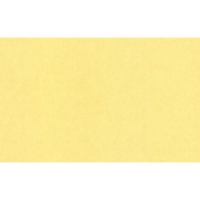 70361-13 (6) AS Палитра Обои (1,06*10) 70361-13 (6) AS Палитра Обои (1,06*10)