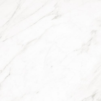 Керамогранит Scarlett white 01 450х450
