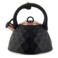 Чайник 3л из нержавеющей стали со свистком и ручкой "soft touch" (867)