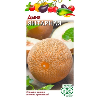 Дыня Янтарная 1 г Н24 "Гавриш"