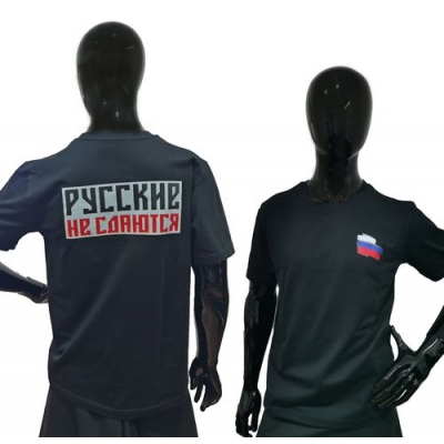 Футболка мужская Доброшвейкин Патриот черная Флаг р.50