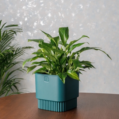 Горшок цветочный VipSet Бостон с дренажной системой квадрат 2,7л изумруд (AMБ-2,7-20)