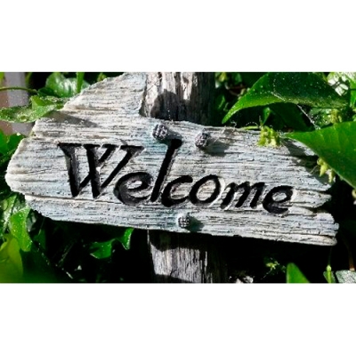 Коврик придверный Charming соты Welkome 60*90 st255