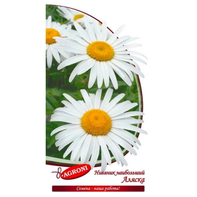 Нивянник наибольший Аляска (0,1г) (ц/п 8573)