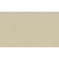 Обои Палитра TC72457-27 Trend Color 1,06х10 м (6 шт)