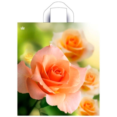 Пакет ПЭ с петлевой ручкой 38х42+6см (37) ПНД (Утренняя роза) Тико (х50/300) 2200003911190 ПТЛ61250