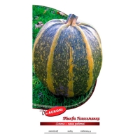 Тыква Голосемянная (2,0г) (ц/п 4841) Тыква Голосемянная (2,0г) (ц/п 4841)