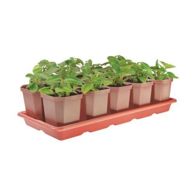 Набор для рассады (10 горш.) (410х170х90) М1010 Набор для рассады (10 горш.) (410х170х90) М1010