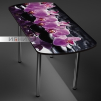 Стол с фотопечатью 068 р-р1100*700/400 разд (подстолье прямое) г. Пенза Стол с фотопечатью 068 р-р1100*700/400 разд (подстолье прямое) г. Пенза