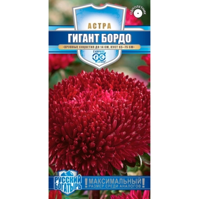 Астра Гигант бордо, однолетняя* 0,05 г (игольчато-коготковая) серия Русский богатырь "Гавриш"