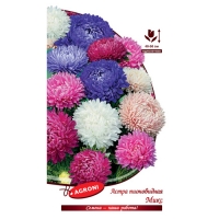 Астра Помпонная 0,20г, XS (0260)