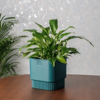 Горшок цветочный VipSet Бостон с дренажной системой квадрат 5,5л изумруд (AMБ-5,5-20)