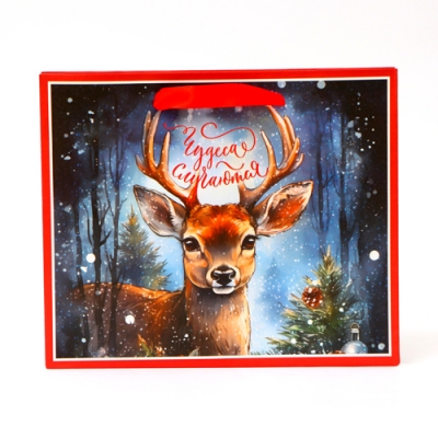 Пакет бумажный, "Чудеса случаются", 24 х 20 х 11 см арт.10612699 г.Екатеринбург