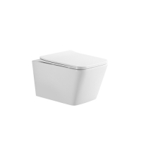 Унитаз подвесной EvaGold EG131, безободковый, сиденье тонкое ДП, крепления