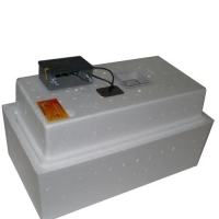 Инкубатор 36 яиц авт. поворот (аналог. терм. с цифр индик. 12В (арт 74)