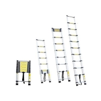 Лестница телескопическая 10ступеней (2,9м)