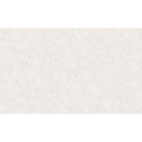 60357-04 Обои ERISMANN Profi Deco Color 10,05х1,06 (6)