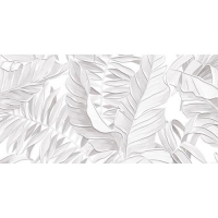 Декор "Bonita" 249x500 / DWU09BNT007