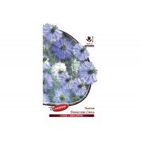 Нигелла Дамасская смесь (0,2г) (ц/п 8030)