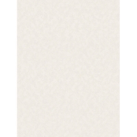 Обои Палитра 10142-12 AS 0,53*10 м (12 шт) Обои Палитра 10142-12 AS 0,53*10 м (12 шт)