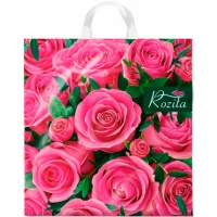 Пакет ПЭ с петлевой ручкой 40x42+6см (50) (Розита) Интерпак (х25/500) 2200003926088 ПТЛ66626