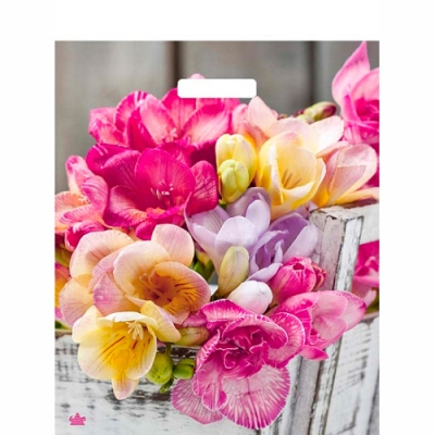 Пакет ПЭ с вырубной ручкой 38х45+6см (60) (Цветочная симфония) Глянцевый Тико (х50/500) 220000388575