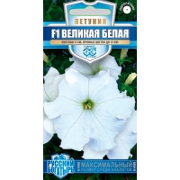 Петуния Великая белая F1, крупноцв. 7 шт. гранул. пробирка, серия Русский богатырь "Гавриш" Петуния Великая белая F1, крупноцв. 7 шт. гранул. пробирка, серия Русский богатырь "Гавриш"