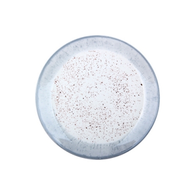 Тарелка десертная 19 см, Rustic grey H328-S/P