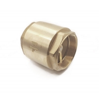 Обратный клапан 2" RTP