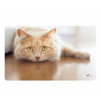 Коврик универсальный SHAHINTEX SPRING PHOTOPRINT SH P125 45х75