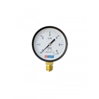 Манометр ДМ 02-100-1-М, диапазон 0...25 кгс/см2, диаметр 100, радиальный М20х1,5, макс тем-ра +160 С