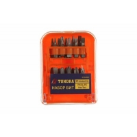Набор бит ТУНДРА, PH-SL-PZ-Hex-Torx, 20 предметов 5354680