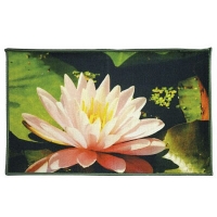 Коврик SHAHINTEX FANTASY icarpet 50х80 (007)