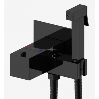 G7207-60 Гигиенический душ со смесителем GAPPO (черный) G7207-60 Гигиенический душ со смесителем GAPPO (черный)