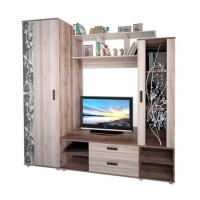 "Глория" центральная секция Дуб Сокраменто темный/Сокраменто светлый (2200*1980*560, 6 мест)