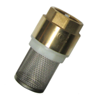 Обратный клапан с фильтром 1" SANTREK Aqua